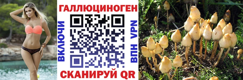 даркнет сайт  Карпинск  Псилоцибиновые грибы MAGIC MUSHROOMS 